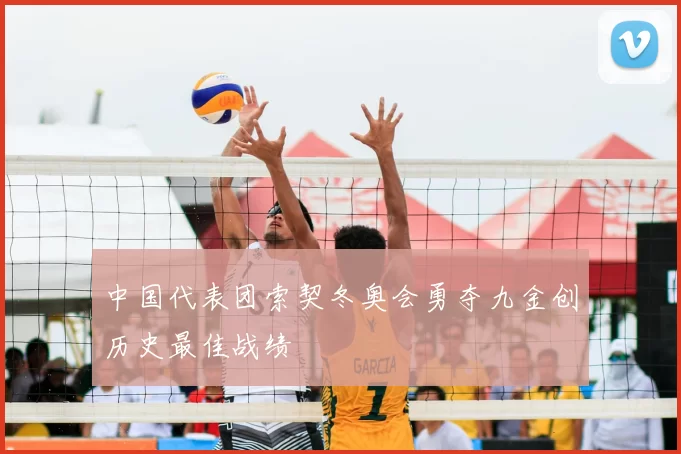 中国代表团索契冬奥会勇夺九金创历史最佳战绩