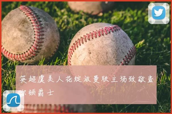 英超虞美人花绽放曼联主场致敬查尔顿爵士