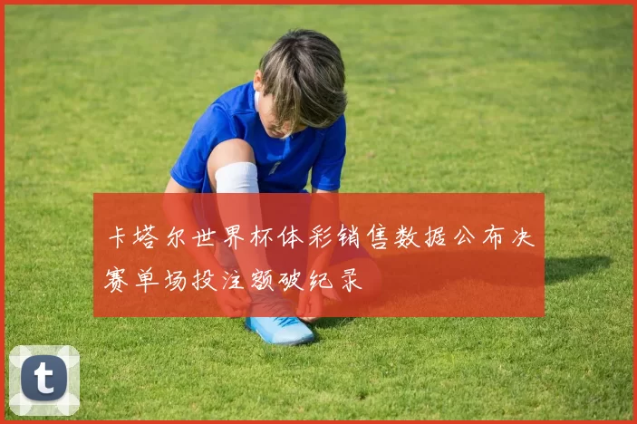 卡塔尔世界杯体彩销售数据公布决赛单场投注额破纪录