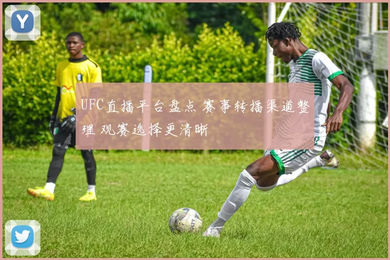 UFC直播平台盘点 赛事转播渠道整理 观赛选择更清晰