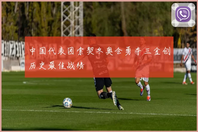 中国代表团索契冬奥会勇夺三金创历史最佳战绩